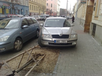 parkovat_se_musi.jpg