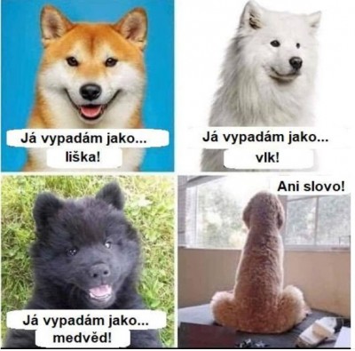 psi.jpg