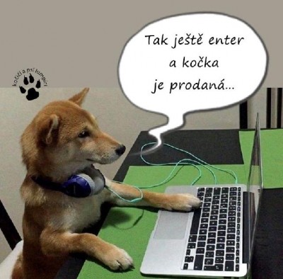 prodej.jpg