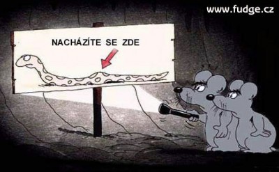 t_mysivhadovi_178.jpg
