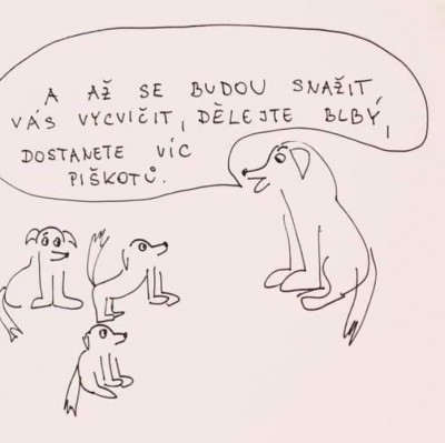 vycvikstenat.jpg