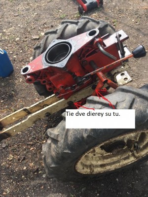 tera obr..jpeg