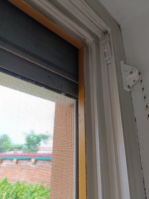 IMG_20240506_105113.jpg