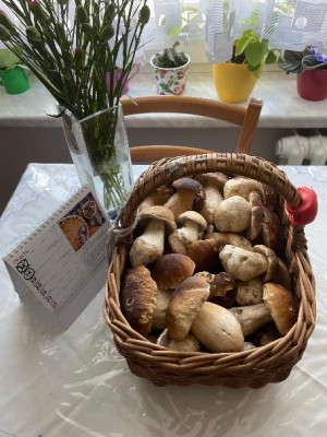 Včera - za 4 h. v lese. Kdyby nezačal hic, vydržel bych tam snad do večera :-))