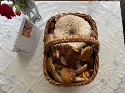 Úlovek z "mé" poslední lokality