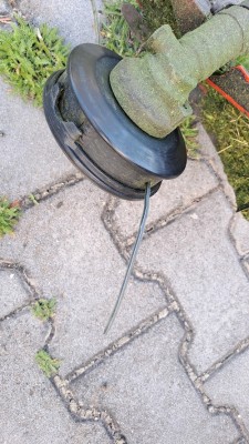 Vyzinaci_hlava.jpg