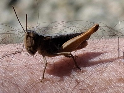 271354b38.jpg