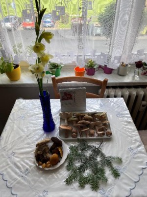 Dnes - žádná hitparáda