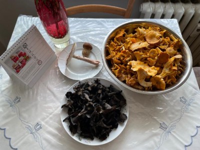 "Kuřátka" + "stročci" + 1 "masák" a 1 "dubáček". Našel jsem i další 3, ale byly nebratelní, už to byly "semeňáci" :-(