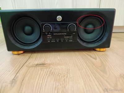 speaker.jpg
