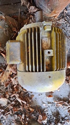 Motor.jpg