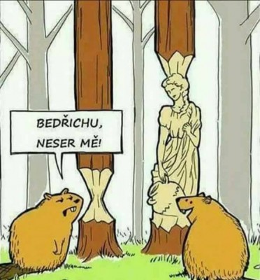 Dva bobři :-)