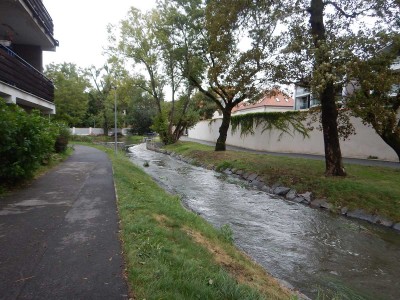 DSCN1728.jpg