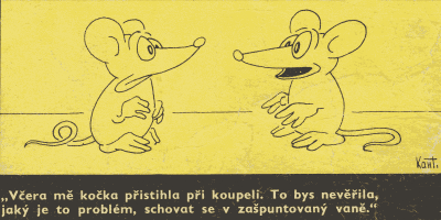 KANTOREK 2.png