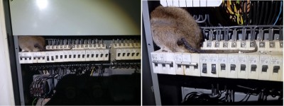 B 1.jpg