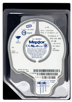 MAXTOR.jpg