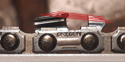 et_z_57__l._nov__pro__narex_173.jpg