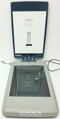 3670.jpg