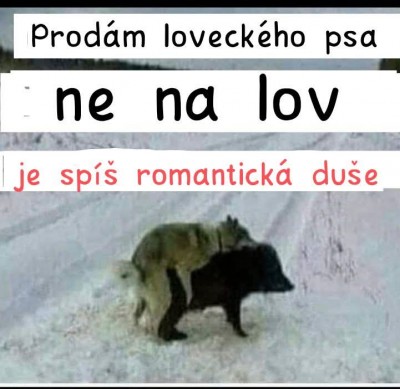 pes.jpg