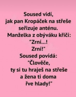 zrni-zrni.jpg