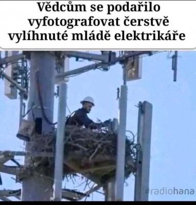 elektro.jpg