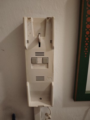 1743255316749.jpg