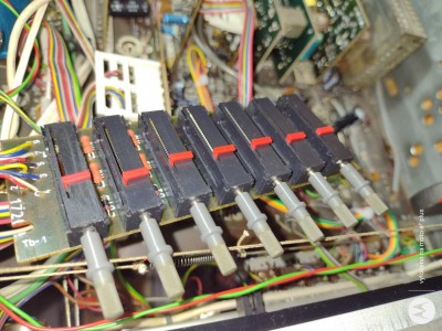 img_20250405_103029022_optimized[1].jpg