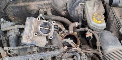 Fabia1.jpg