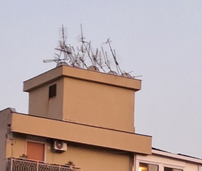 20250607_202916.jpg