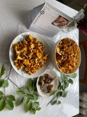 2 malé "dubáčky" jsem tam nemohl nechat - aby mi věřili, že jsem byl vůbec na hřiby :)