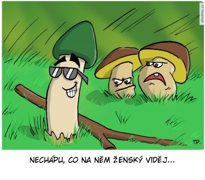 tom_pekarek_9454.jpg