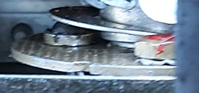 20250804_112959-1.jpg