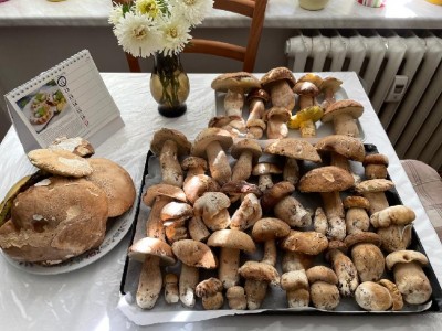 A hned byly dnes u nás smaž. řízky. A zítra i u příbuzných :)