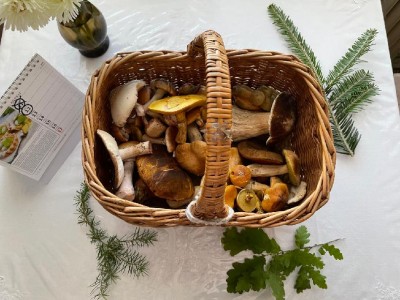 Dnes - v jedné ze "slovenských" lokalit :(