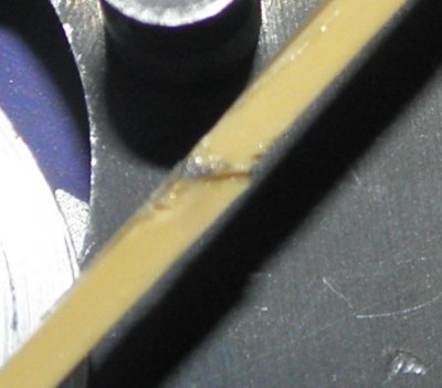 P1010005.JPG