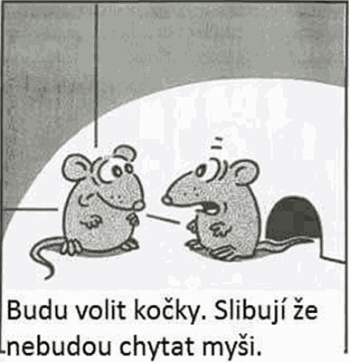 BUDU VOLIT.png