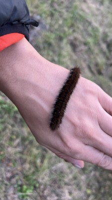 IMG_0868.jpeg