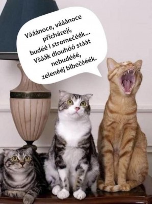 vánoce vánoce ....jpg