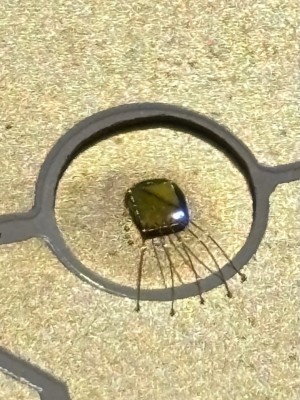 LED svítí je v růžku