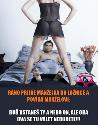 v loznici.jpg