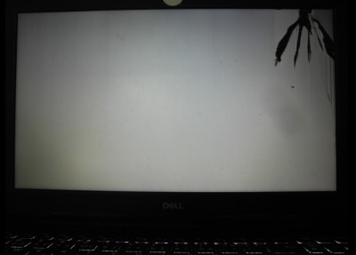 dell_display_knockout.jpg