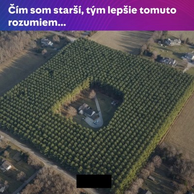 1010.jpg