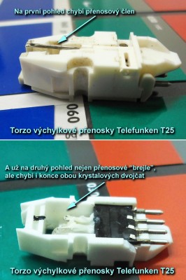 Takto po letech ve vlhku dopadá kdejaká krystalová přenoska...
