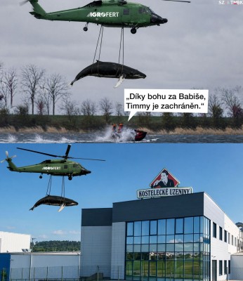 Rescue