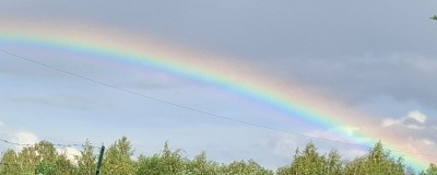 20260611_172533 - výřez.jpg