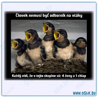 odborník na vtáky.png