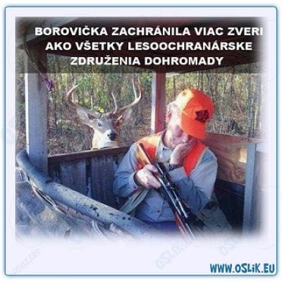 borovička.png