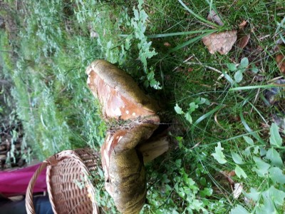 20180625_141351.jpg