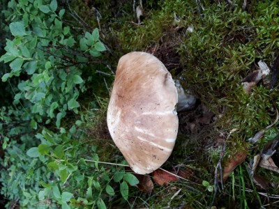 20180625_141418.jpg
