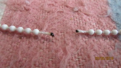 IMG_5978.JPG